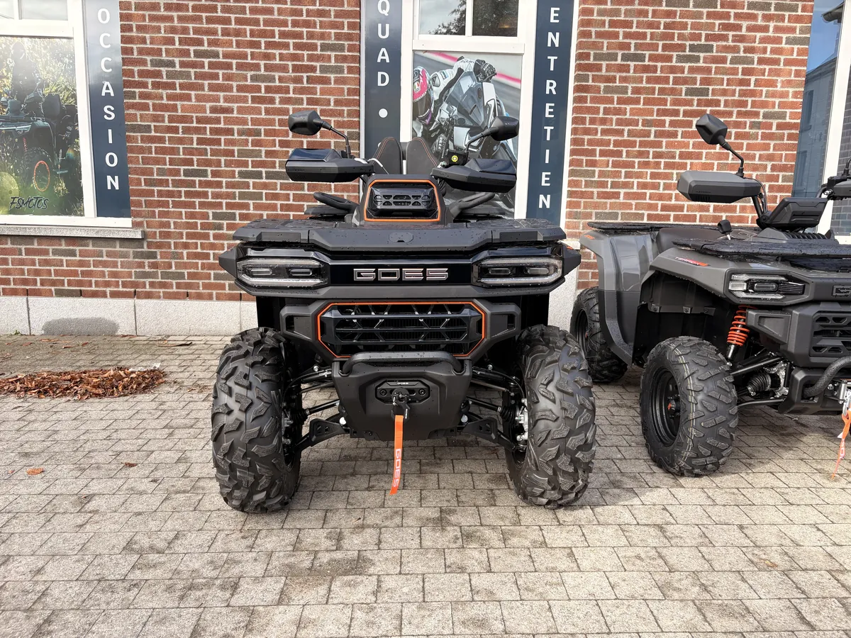 GOES TERROX 1000 T3 STANDARD — photo 3