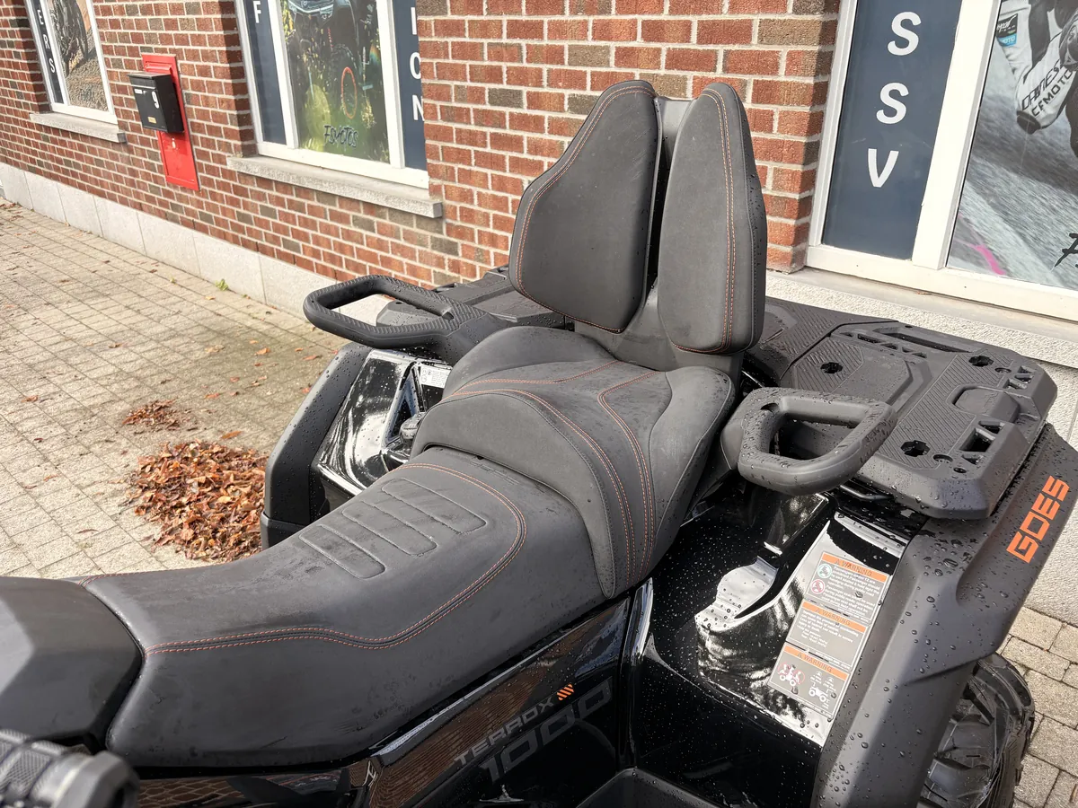 GOES TERROX 1000 T3 STANDARD — photo 6